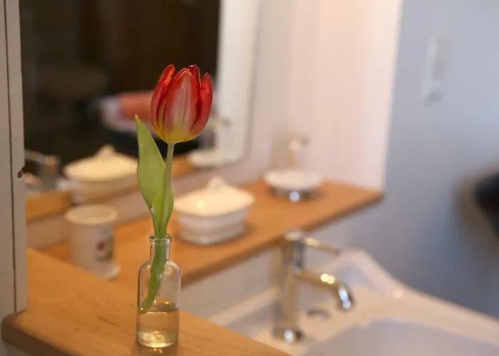 Le Couvent De Neuviale Parisot (Tarn-et-Garonne)