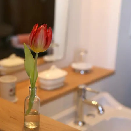 Le Couvent De Neuviale Parisot (Tarn-et-Garonne)